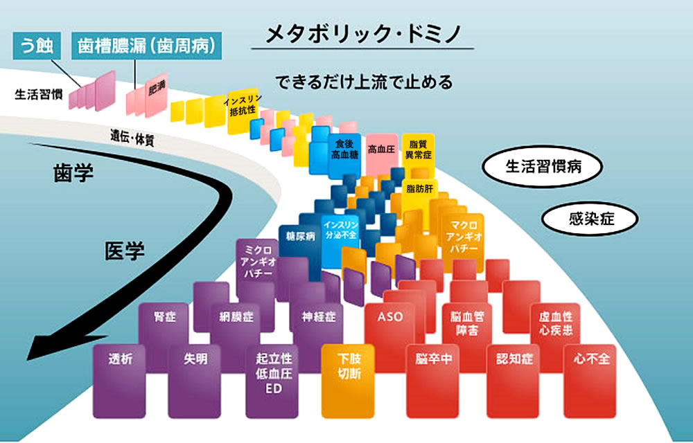 身体全体の健康